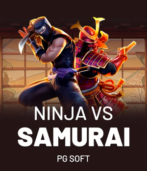 Ninja vs Samurai