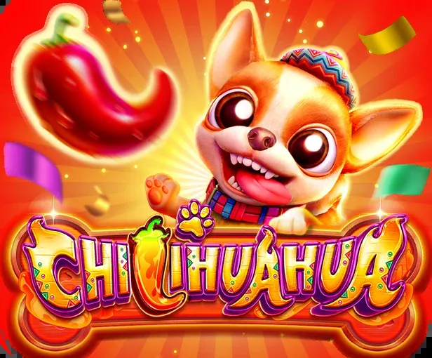 CHILIHUAHUA